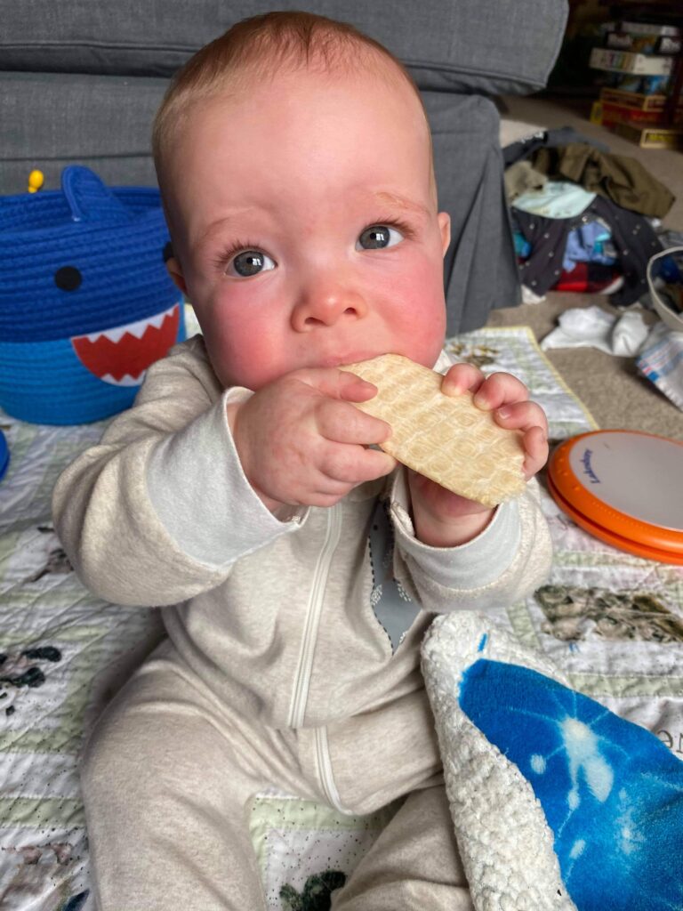 How to Make Homemade Baby Food – It’s Easy!