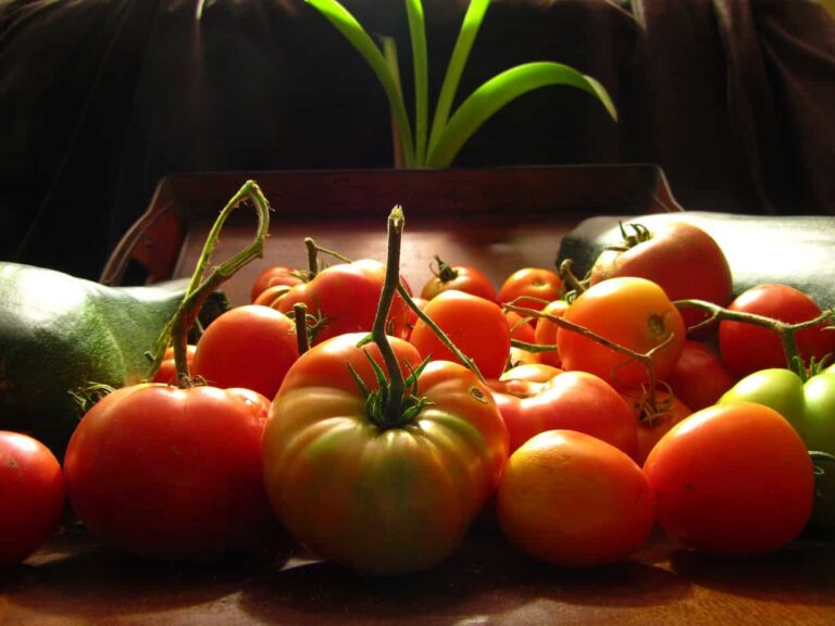 {How To} Canning Stewed Tomatoes @ AVirtuousWoman.org