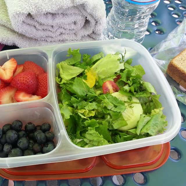 Fresh and Easy Lunch Box Ideas @ AVirtuousWoman.org