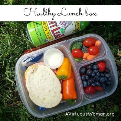 Healthy Lunch Box for the Whole Family @ AVirtuousWoman.org