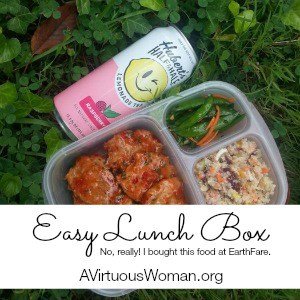 Easy Lunch Box with Thai Chili Nuggets from #EarthFare @ AVirtuousWoman.org #easylunchboxes