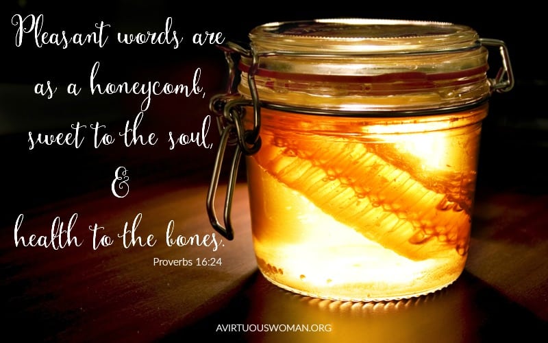 Pleasant words are sweet as a honeycomb. The Proverbs 31 Woman has the law of kindness on her tongue. @ A Virtuous Woman