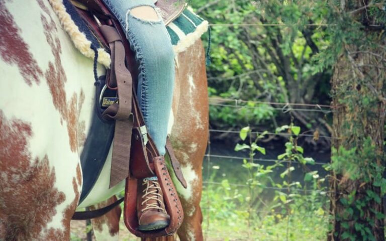 Tidbits from My Week: Horses, Skating, and Hiking + an embarassing story
