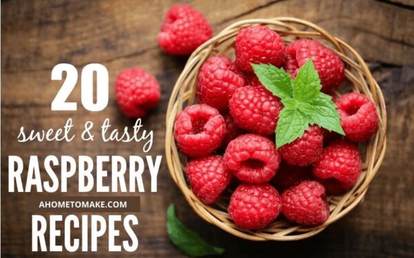 Raspberry Sweet Raspberry Home 20 Sweet and Tasty Raspberry Treats Your Family will Love!