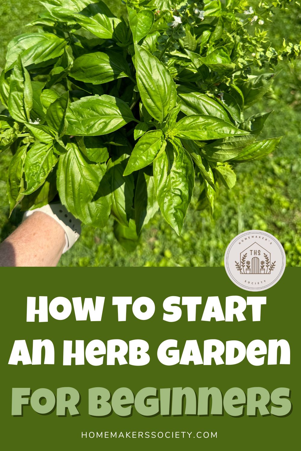 How to Start an Herb Garden