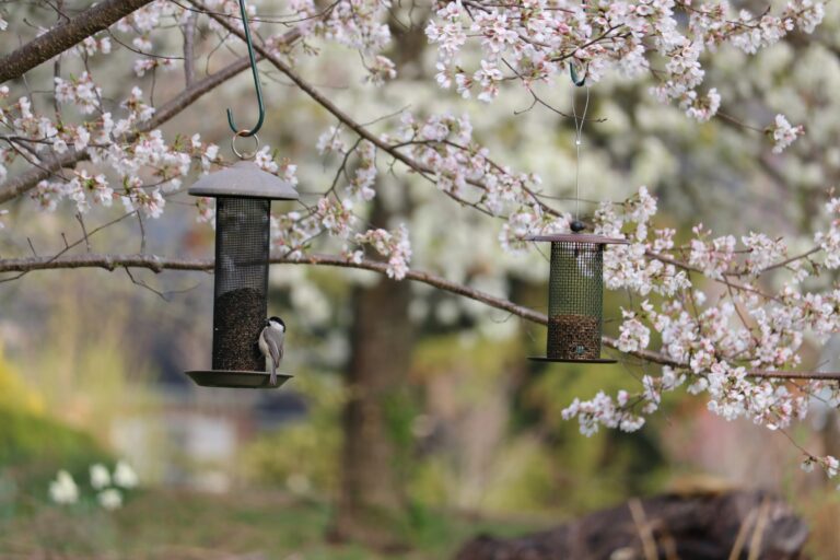 Simple Outdoor, Amazon Finds You’ll Love!